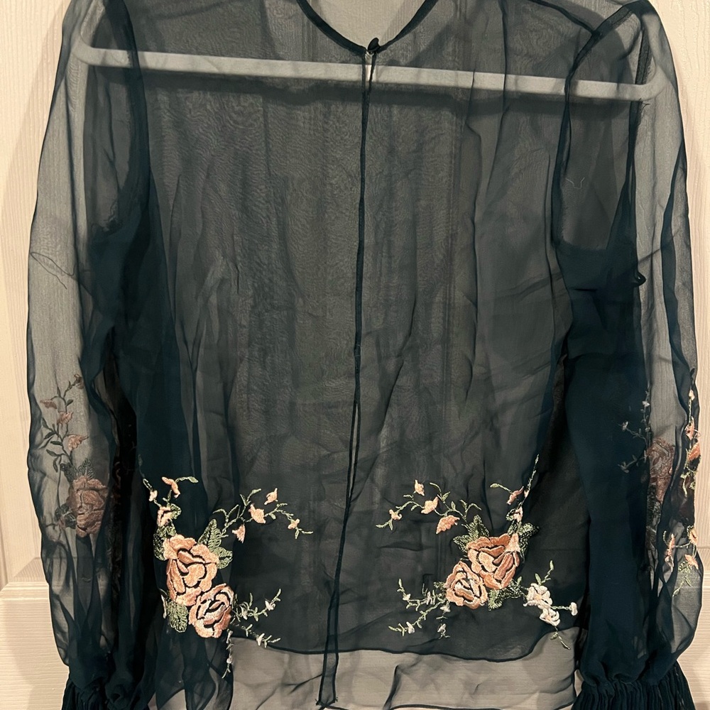 Black Sheer Blouse with Floral Embroidery